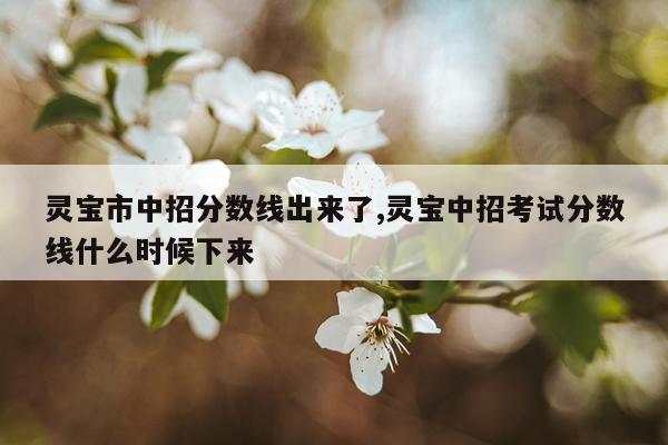 灵宝市中招分数线出来了,灵宝中招考试分数线什么时候下来