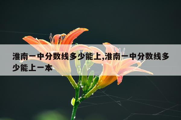 淮南一中分数线多少能上,淮南一中分数线多少能上一本