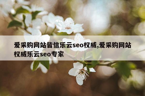 爱采购网站皆信乐云seo权威,爱采购网站权威乐云seo专家
