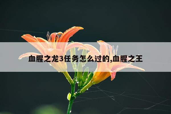血腥之龙3任务怎么过的,血腥之王