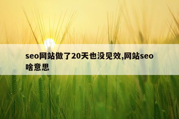seo网站做了20天也没见效,网站seo啥意思