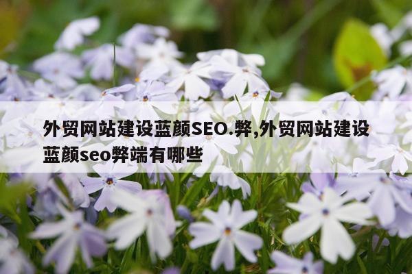 外贸网站建设蓝颜SEO.弊,外贸网站建设蓝颜seo弊端有哪些