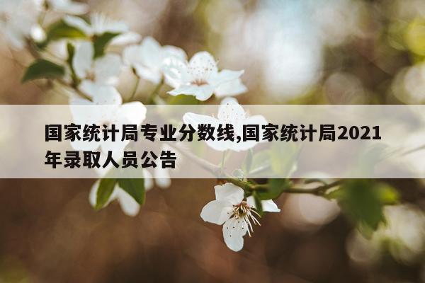 国家统计局专业分数线,国家统计局2021年录取人员公告