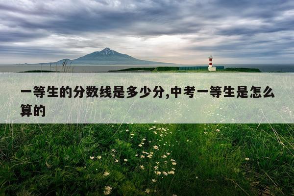一等生的分数线是多少分,中考一等生是怎么算的