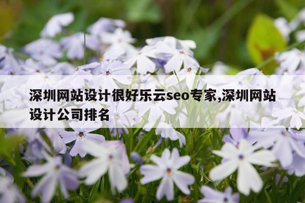 深圳网站设计很好乐云seo专家,深圳网站设计公司排名