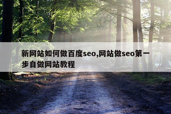 新网站如何做百度seo,网站做seo第一步自做网站教程