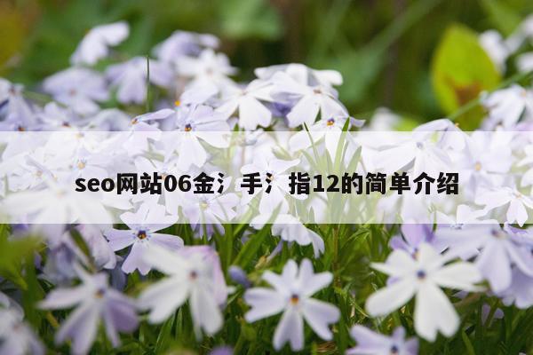 seo网站06金氵手氵指12的简单介绍