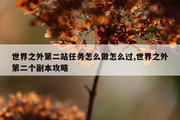 世界之外第二站任务怎么做怎么过,世界之外第二个副本攻略