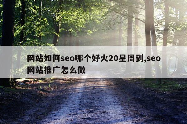 网站如何seo哪个好火20星周到,seo网站推广怎么做