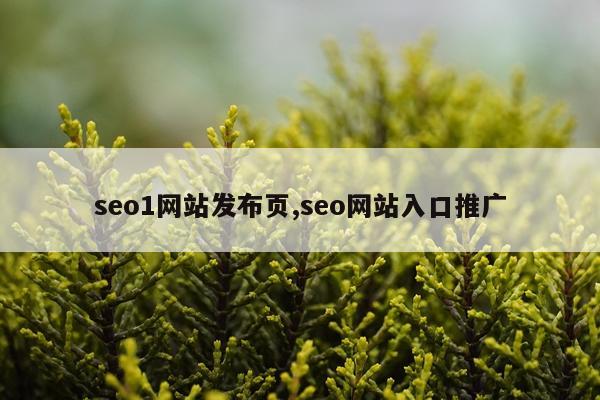 seo1网站发布页,seo网站入口推广