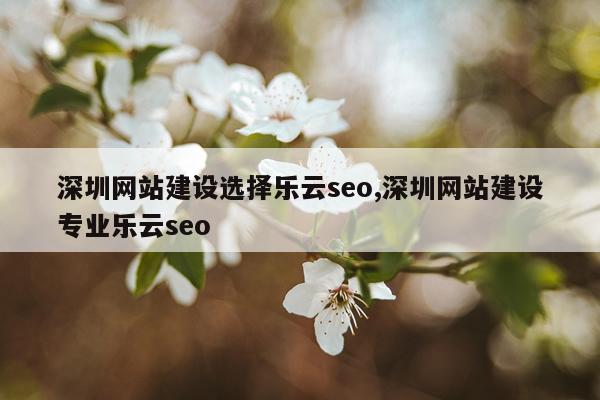 深圳网站建设选择乐云seo,深圳网站建设专业乐云seo