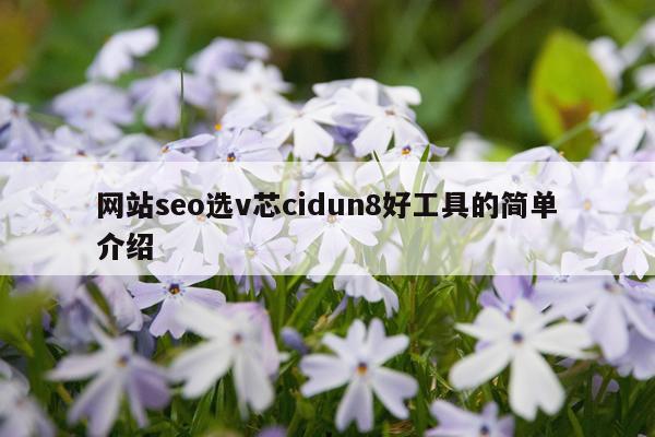 网站seo选v芯cidun8好工具的简单介绍