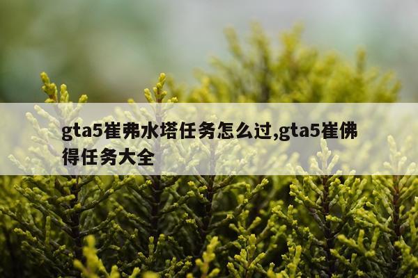gta5崔弗水塔任务怎么过,gta5崔佛得任务大全