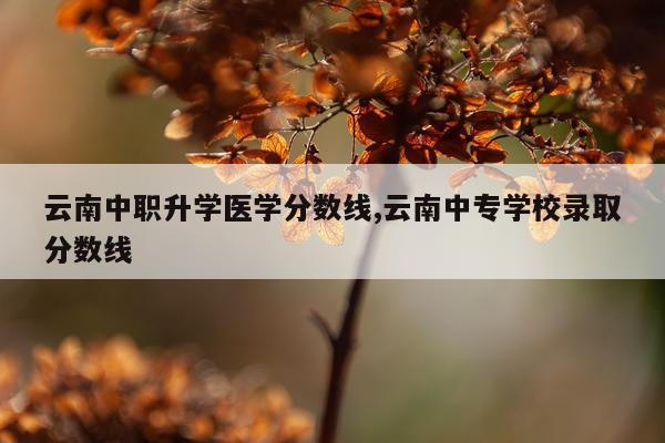 云南中职升学医学分数线,云南中专学校录取分数线