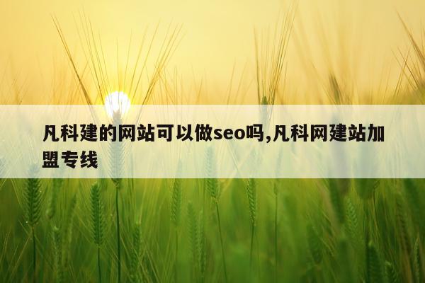 凡科建的网站可以做seo吗,凡科网建站加盟专线