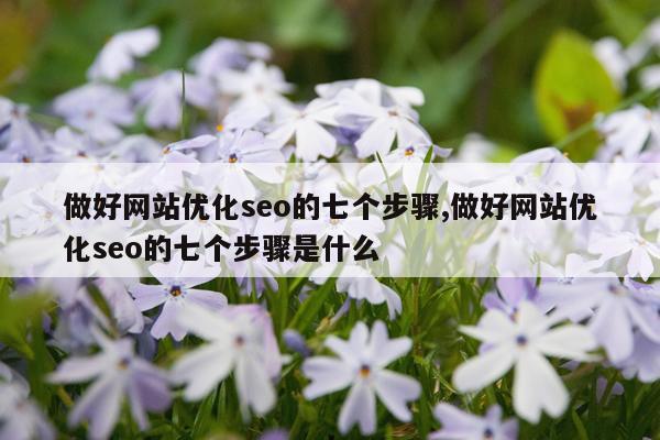 做好网站优化seo的七个步骤,做好网站优化seo的七个步骤是什么