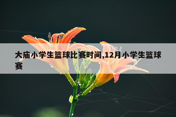 大庙小学生篮球比赛时间,12月小学生篮球赛