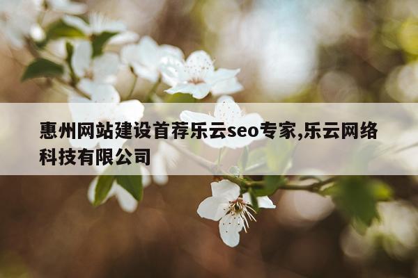 惠州网站建设首荐乐云seo专家,乐云网络科技有限公司
