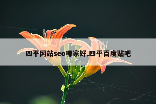 四平网站seo哪家好,四平百度贴吧