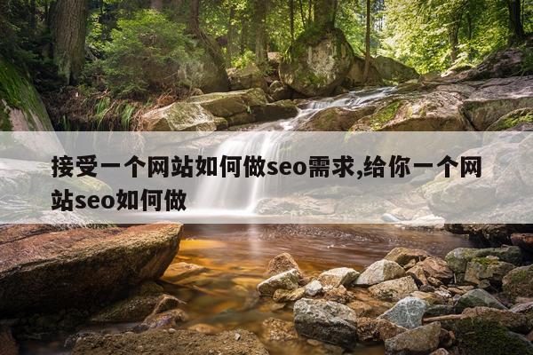 接受一个网站如何做seo需求,给你一个网站seo如何做