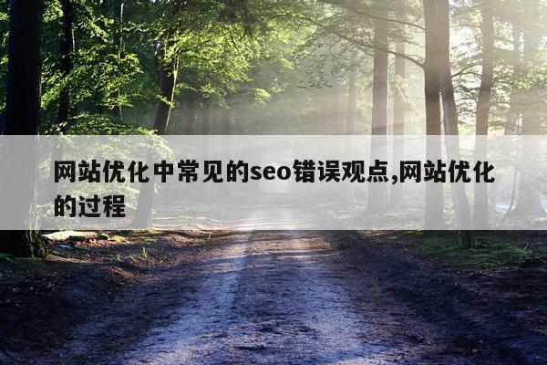 网站优化中常见的seo错误观点,网站优化的过程