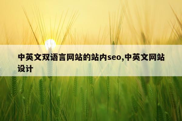 中英文双语言网站的站内seo,中英文网站设计
