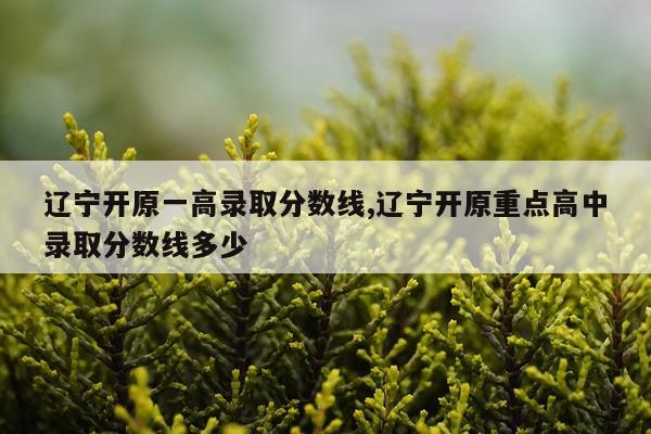 辽宁开原一高录取分数线,辽宁开原重点高中录取分数线多少
