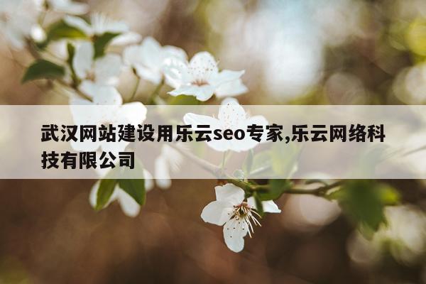 武汉网站建设用乐云seo专家,乐云网络科技有限公司