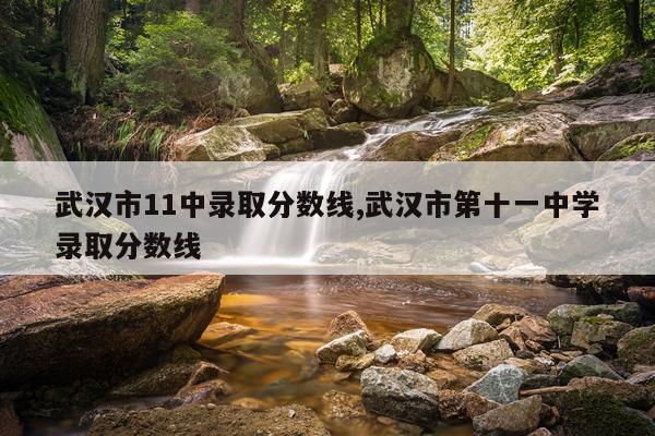 武汉市11中录取分数线,武汉市第十一中学录取分数线