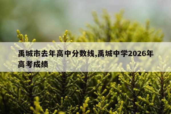 禹城市去年高中分数线,禹城中学2026年高考成绩