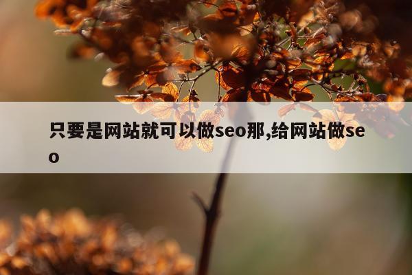 只要是网站就可以做seo那,给网站做seo