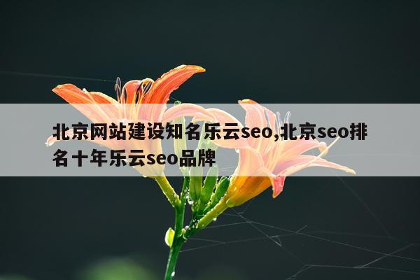 北京网站建设知名乐云seo,北京seo排名十年乐云seo品牌
