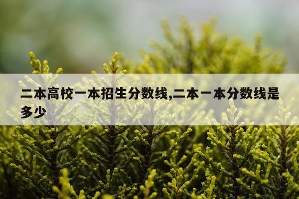 二本高校一本招生分数线,二本一本分数线是多少