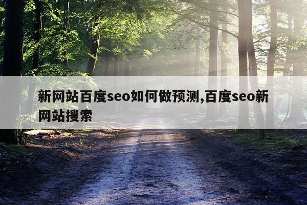 新网站百度seo如何做预测,百度seo新网站搜索