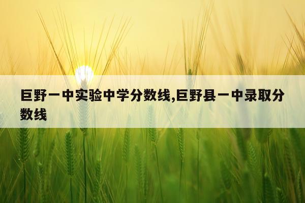 巨野一中实验中学分数线,巨野县一中录取分数线