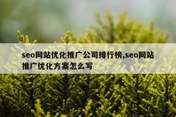 seo网站优化推广公司排行榜,seo网站推广优化方案怎么写