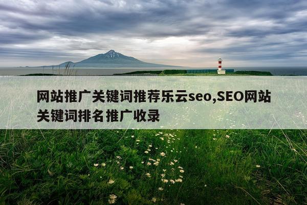 网站推广关键词推荐乐云seo,SEO网站关键词排名推广收录