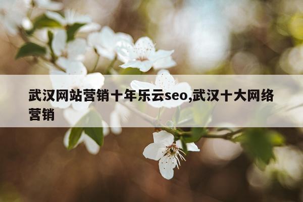 武汉网站营销十年乐云seo,武汉十大网络营销