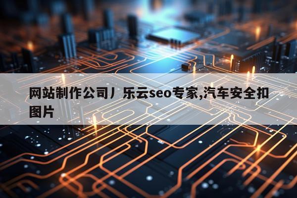 网站制作公司丿乐云seo专家,汽车安全扣图片
