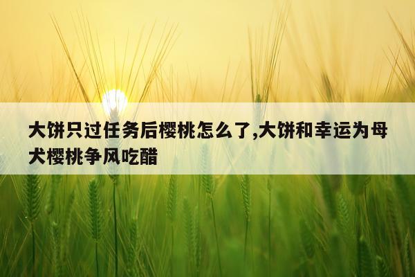 大饼只过任务后樱桃怎么了,大饼和幸运为母犬樱桃争风吃醋
