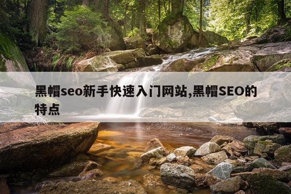 黑帽seo新手快速入门网站,黑帽SEO的特点