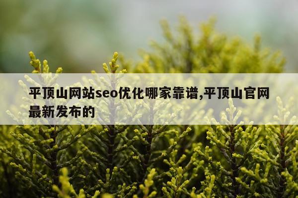 平顶山网站seo优化哪家靠谱,平顶山官网最新发布的