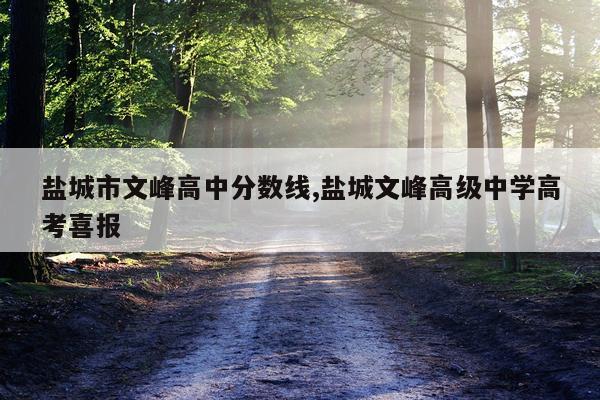 盐城市文峰高中分数线,盐城文峰高级中学高考喜报