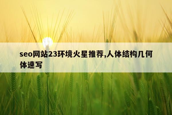 seo网站23环境火星推荐,人体结构几何体速写