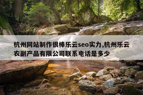 杭州网站制作很棒乐云seo实力,杭州乐云农副产品有限公司联系电话是多少