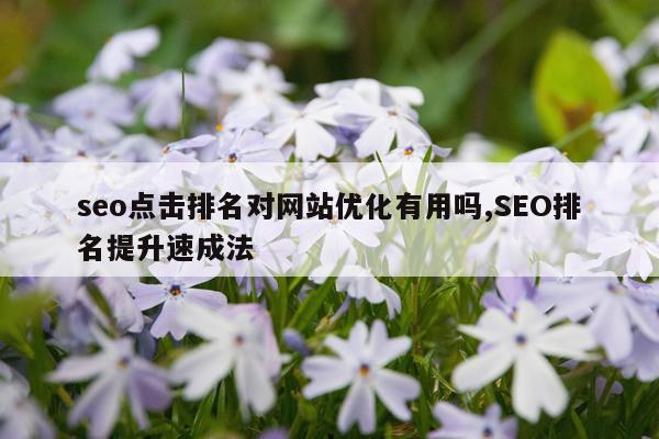 seo点击排名对网站优化有用吗,SEO排名提升速成法