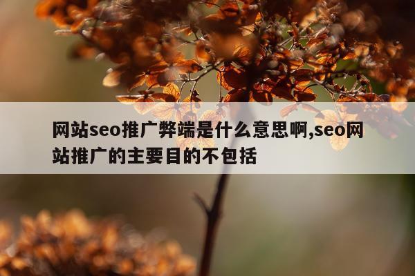 网站seo推广弊端是什么意思啊,seo网站推广的主要目的不包括