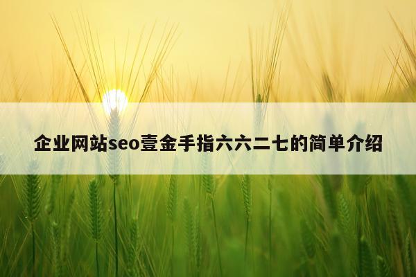 企业网站seo壹金手指六六二七的简单介绍