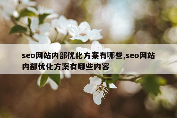 seo网站内部优化方案有哪些,seo网站内部优化方案有哪些内容