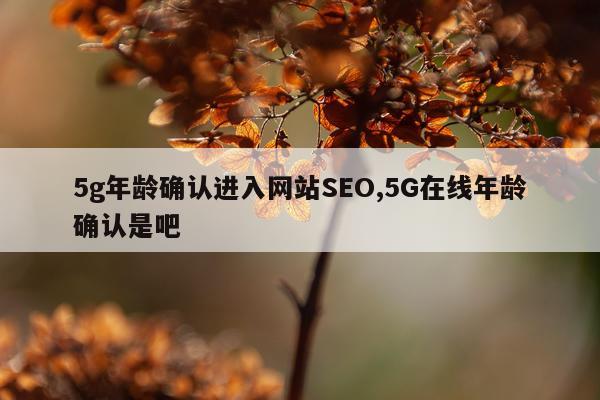 5g年龄确认进入网站SEO,5G在线年龄确认是吧